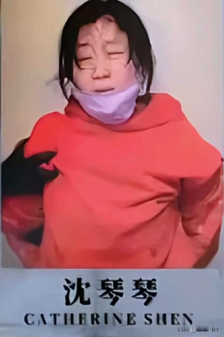 两位中国大妈网上对骂了16年，从中国一路骂到加拿大，对簿公堂法庭上见面狂砍70刀