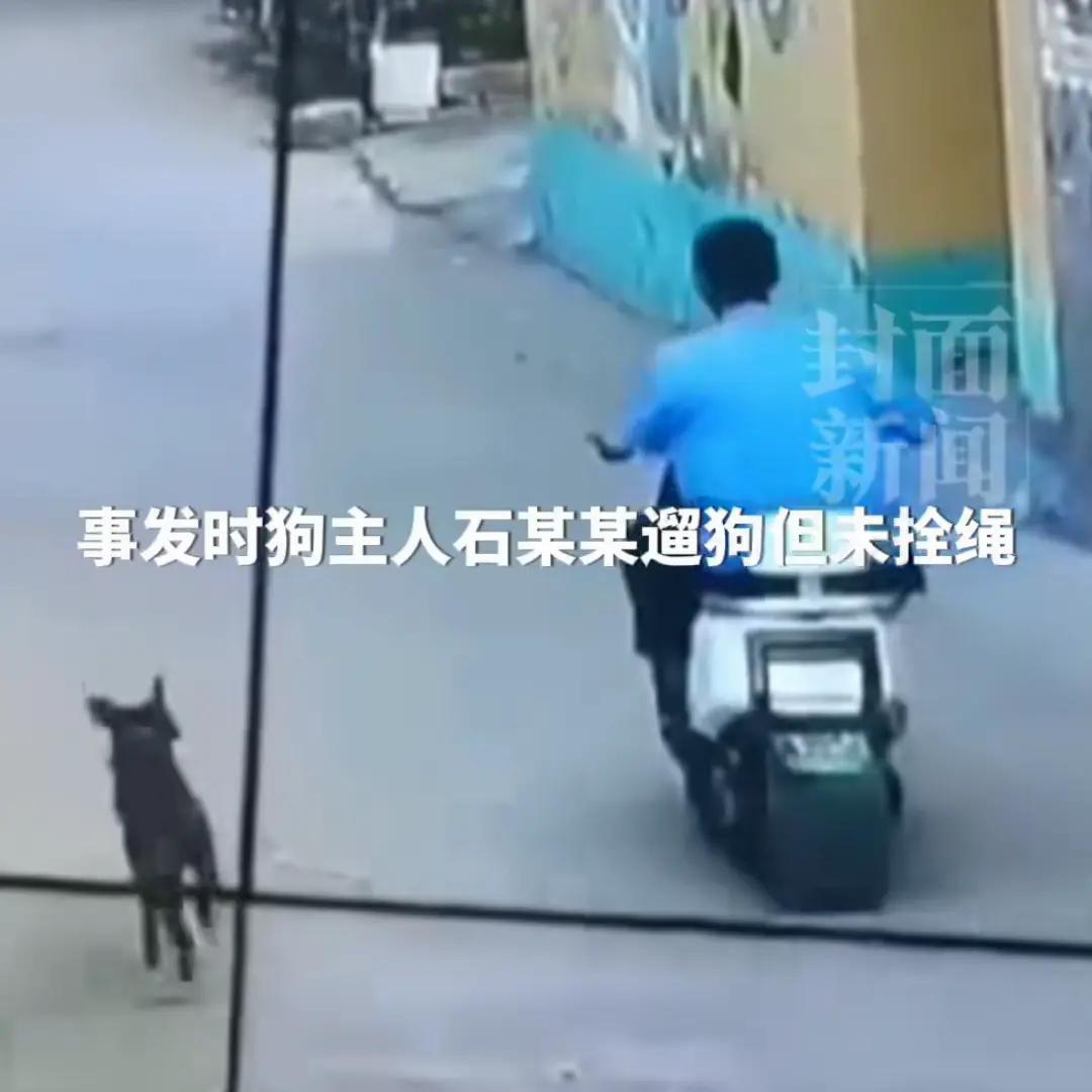 去年7月20号的清晨，河北邯郸经开区的乡间道路上发生一场悲剧，38岁的张素校骑着