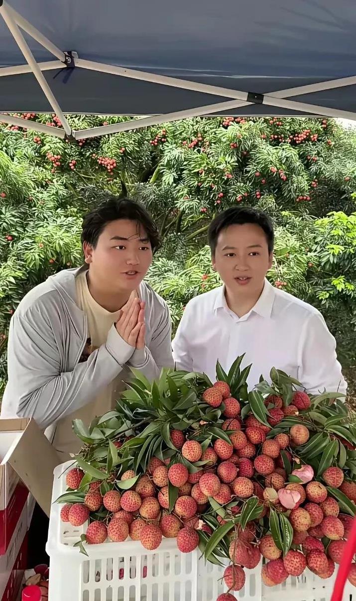 全进华请大双直播卖荔枝，但没有让全红婵参与进来。网友说让婵宝直播卖荔枝呗全