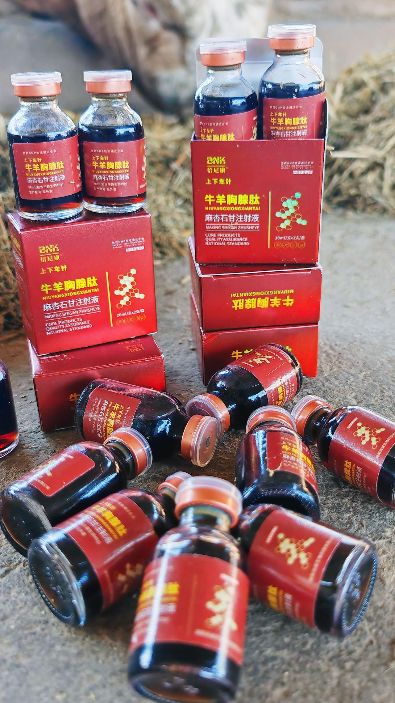 养羊人农村养羊牛羊养殖