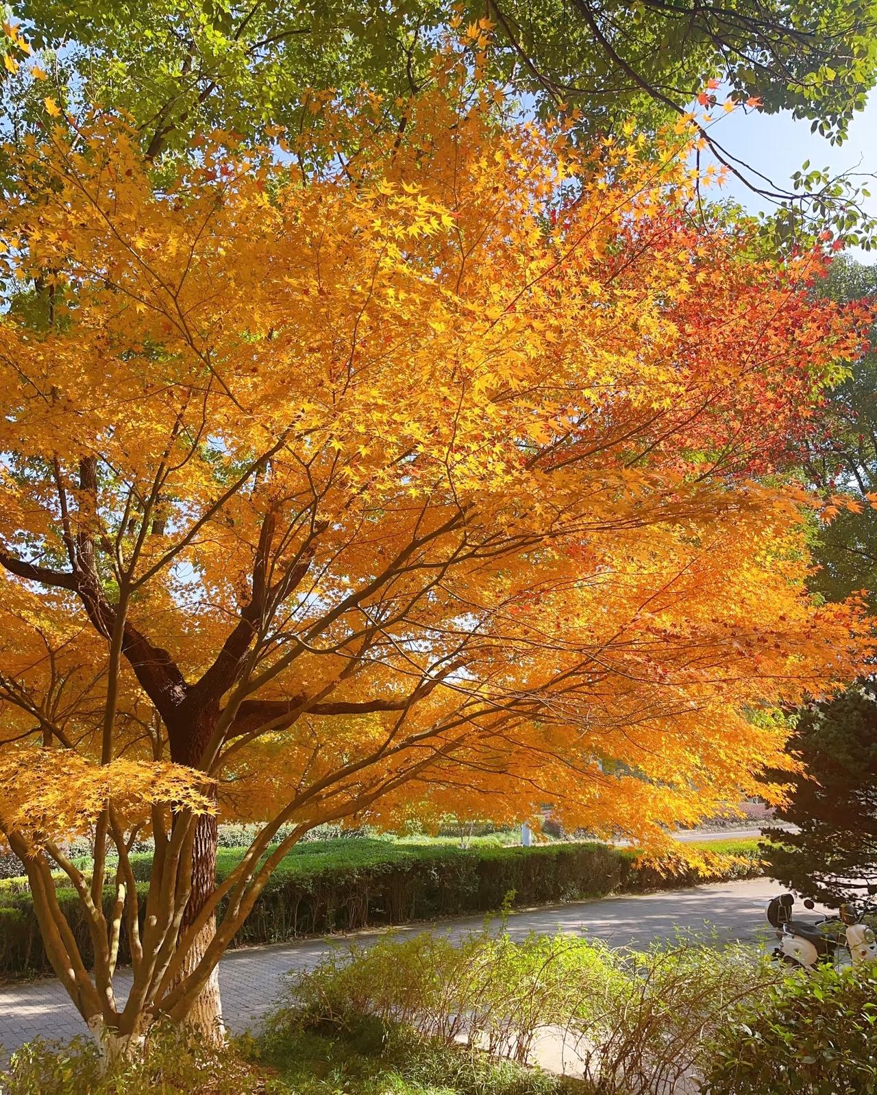 锻炼身体，5公里是跑步的最佳距离，很多人不信，别等受伤了，才明白过来跑步已