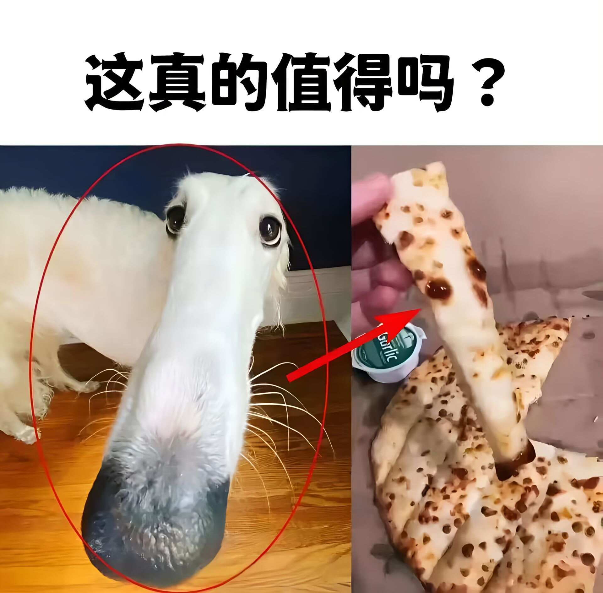 梗图分享meme