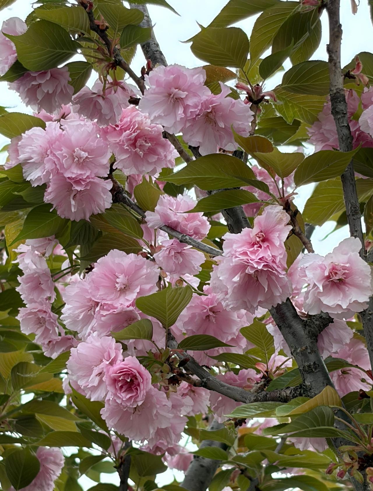 前天，我劝住了忘年交好友小雨。小雨婆家家境不错，老公赚钱能力也还行。前不久刚
