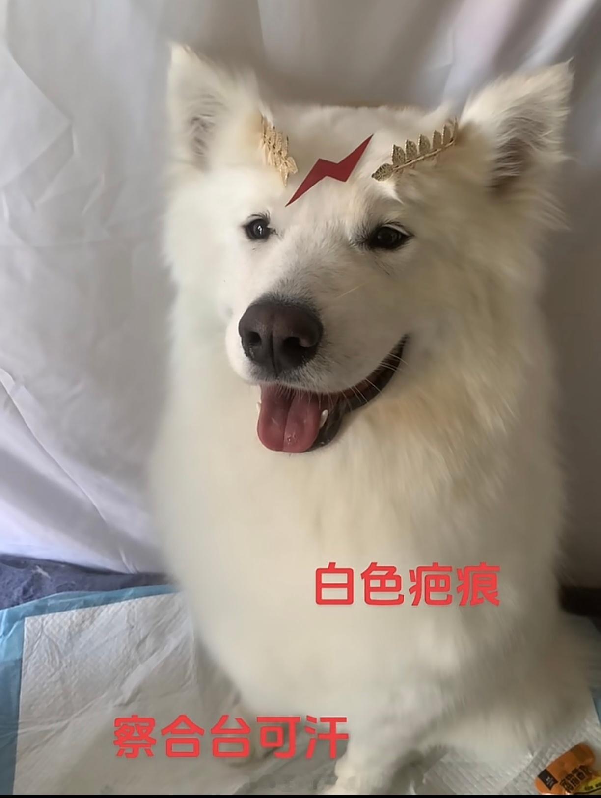 非常低成本但写实的COS。