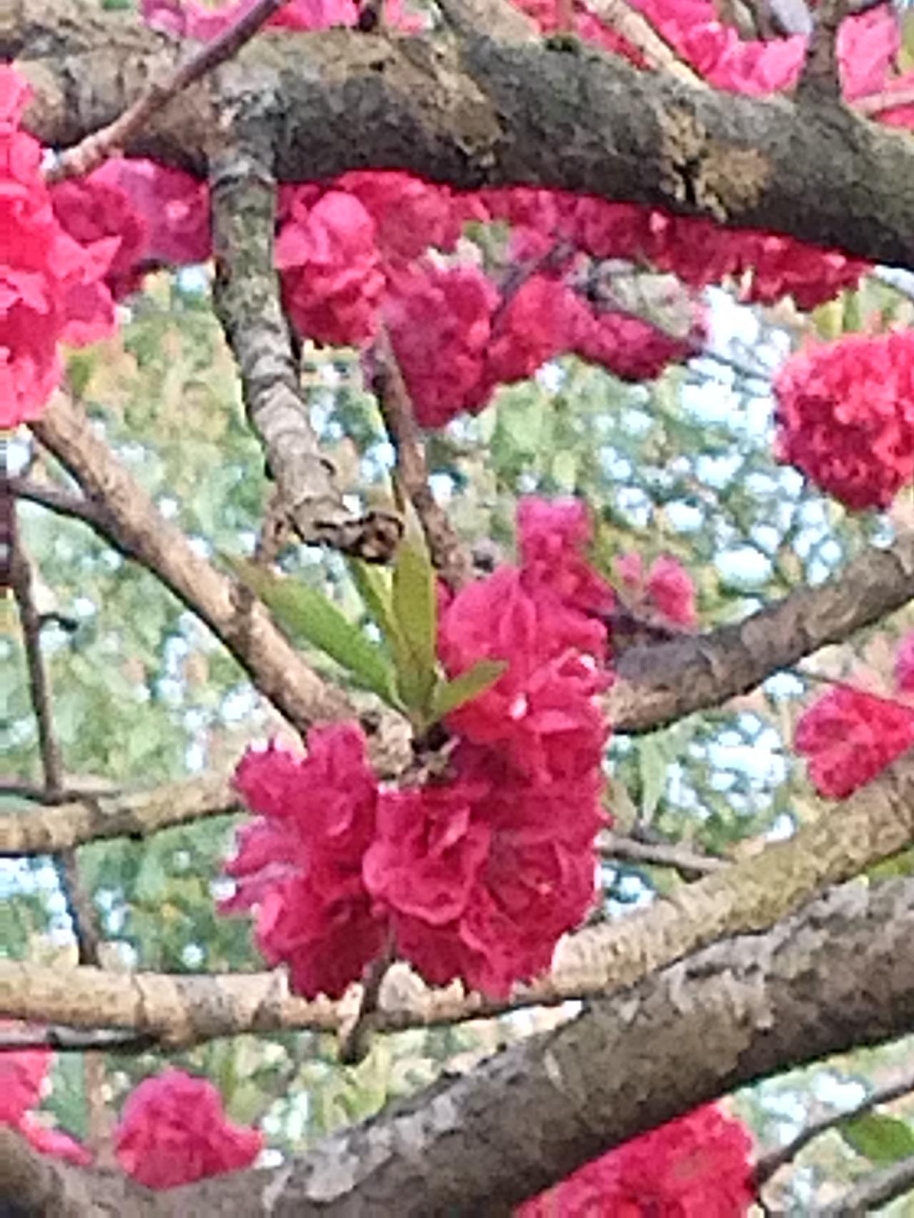 对父母心怀感恩父母是我们生命中最重要的人，他们无私地给予我们生命、养育我们成长