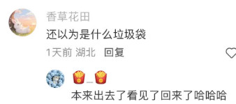 这衣服说是大扑棱蛾子都有人信