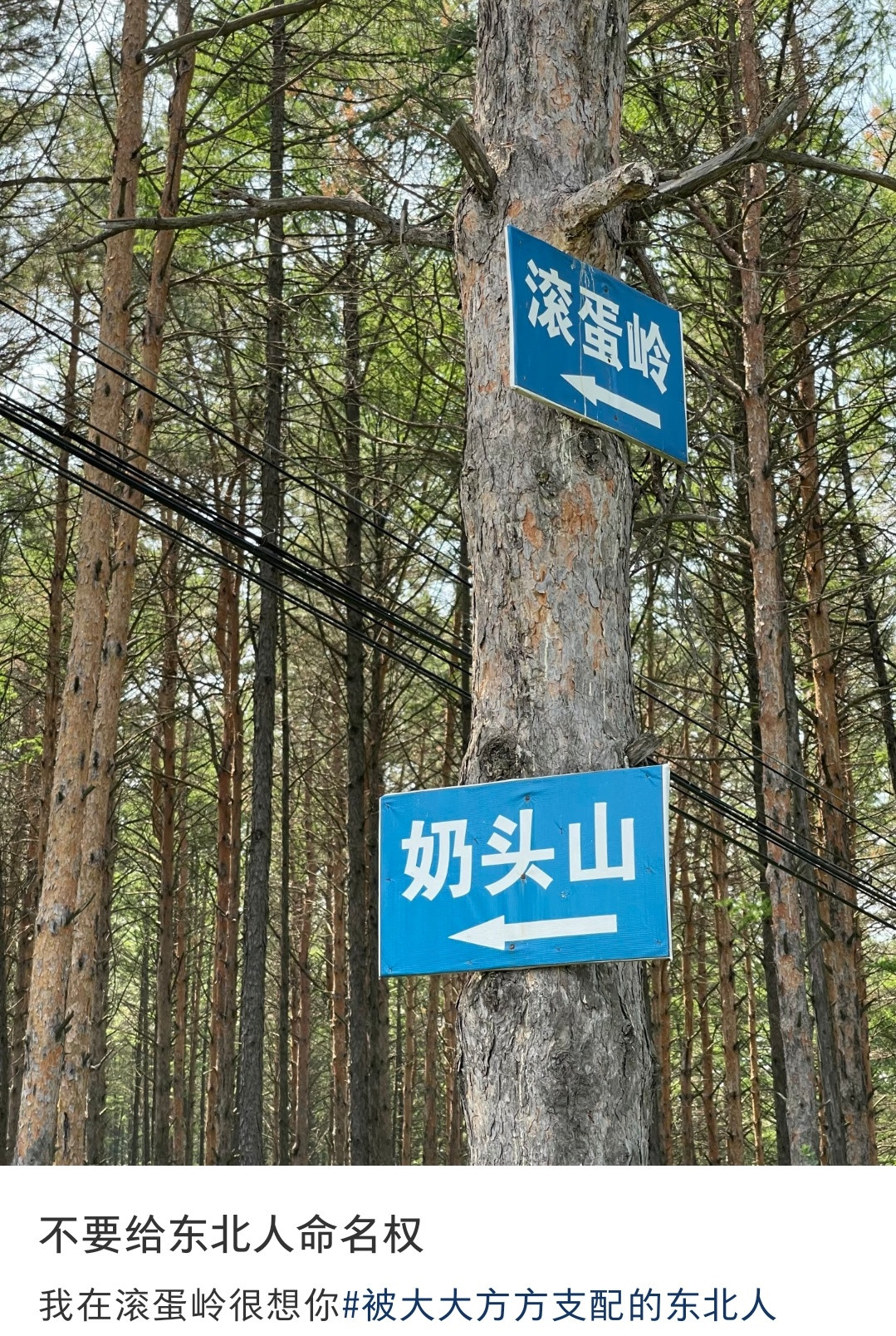 哈哈哈这名字我在滚蛋岭很想你