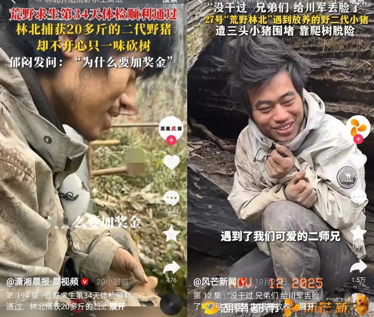 林北这哪是荒野求生，分明是来荒野“安家落户”的！冠军要是不给他，我第一个不服！