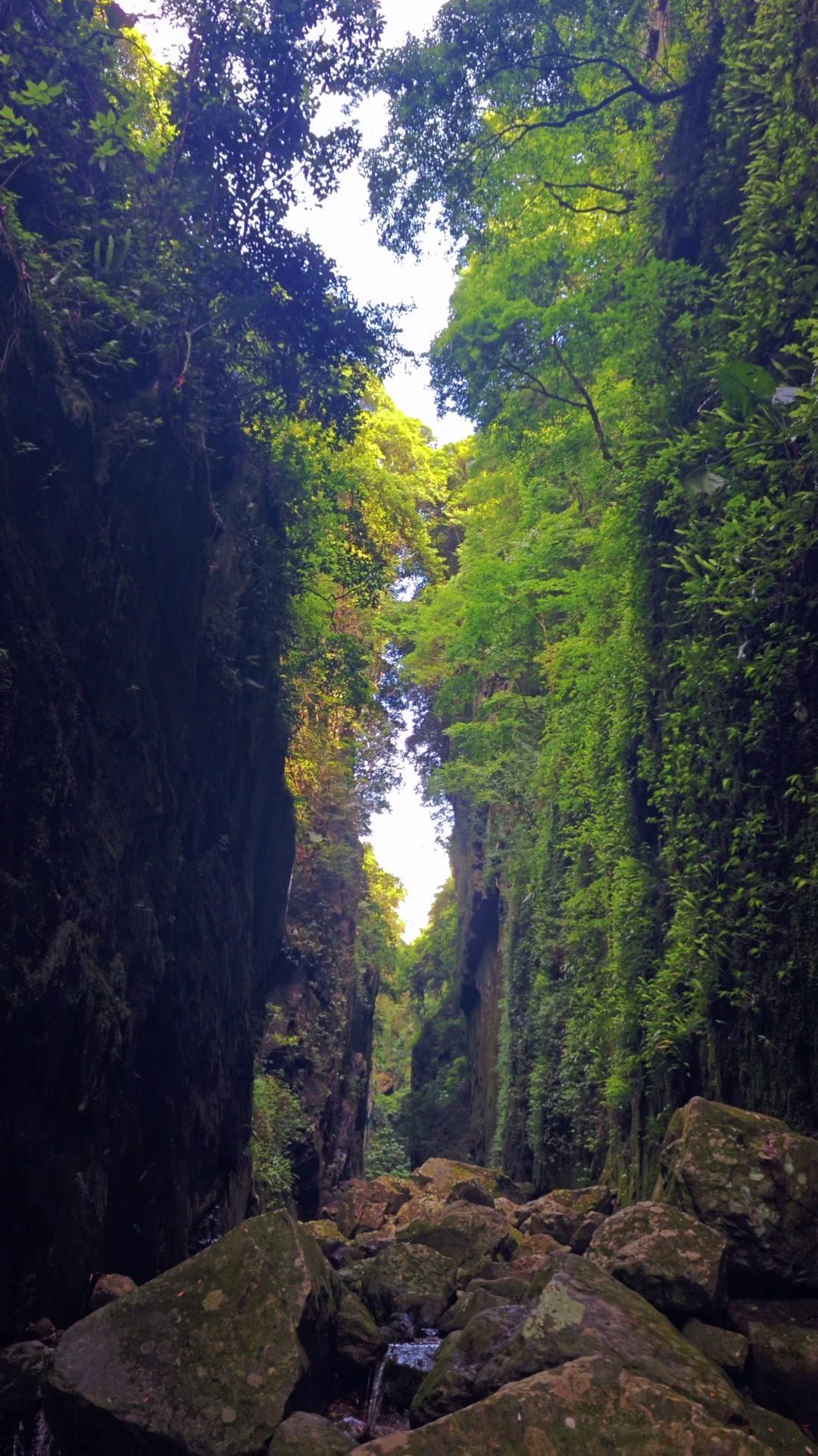 踏入荷溪地缝，两侧岩壁如巨人般并肩而立，天地骤然收窄成一道狭长的秘境。抬眸仰望，