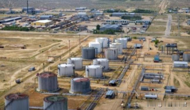 “这回中国绝对是脑子进水了，等着把底裤都赔光吧！”当年，面对中国豪掷50亿美元接