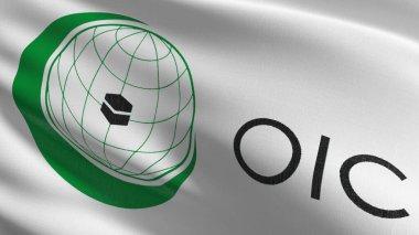 教派裂痕彻底撕破！OIC公开站队海湾六国，伊斯兰世界统一外壳为何一夜裂开？