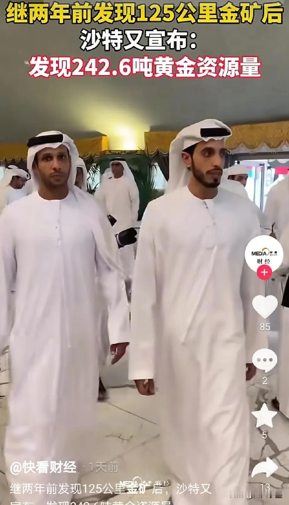 沙特的钱已经彻底花不完了！两年前刚发现了125公里的金矿带，现在又宣布发现了20