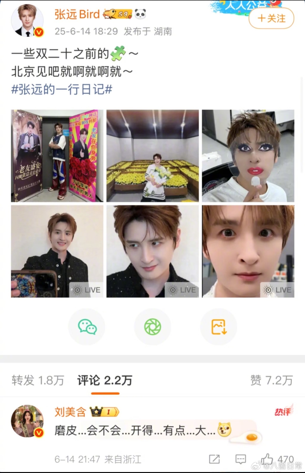 我看说是刘美含六月评论了张远这条微博后被粉丝冲了才取关的张远刘美含和张远互相取关