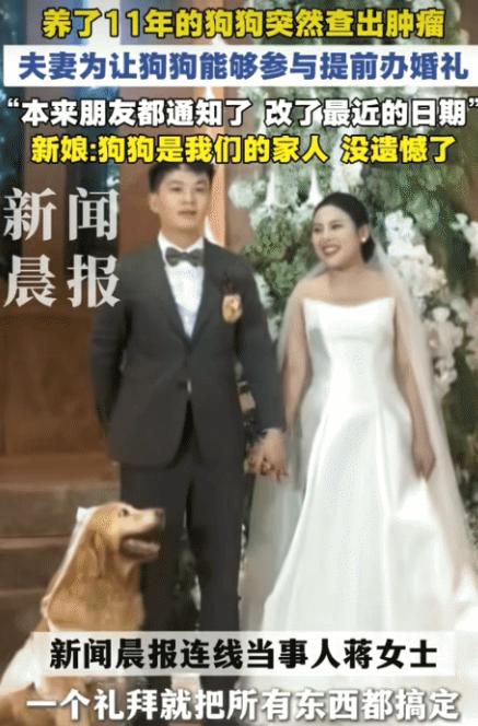 “太有爱了！”厦门，男子养了11年的狗狗突然查出肿瘤。没想到，他为了让狗狗能参与