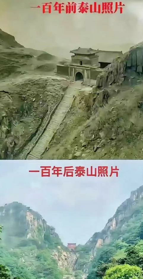 为什么100年前泰山山上光秃秃的？
