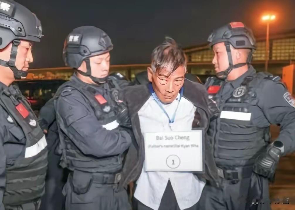 白所成是缅甸人，违法犯罪地也是在缅甸，怎么就被东大国的法律制裁了？当然，他是罪