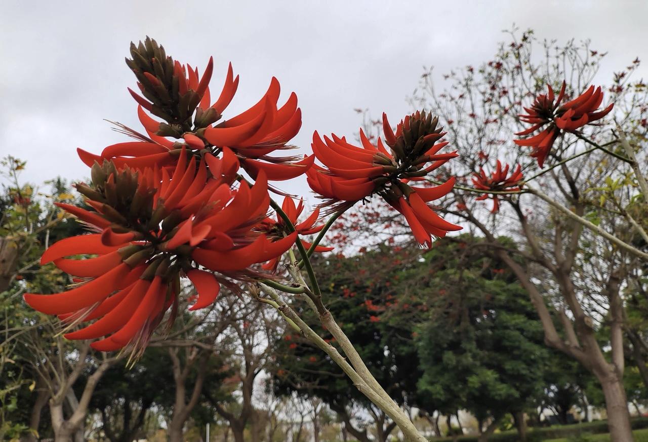 我们总在向外寻觅贵人，却常常忘了，自己才是人生最大的靠山；我们总在抱怨命运关上了