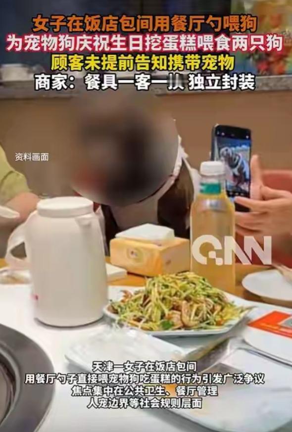 天津，一女子为给4岁宠物狗庆生，特意订下连锁饭店包间，携两只宠狗进店，让狗狗坐上