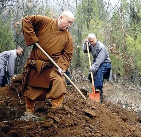 这是少林寺前方丈释永信带领少林弟子在山上挖土栽树。虽然，释永信的体型早已发福，但
