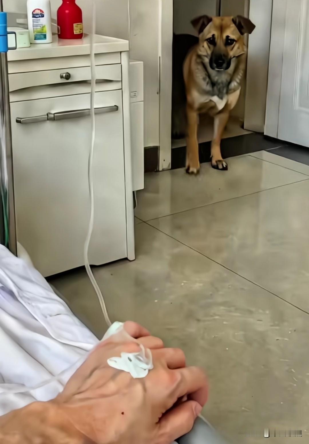 夫妻吵架后，男主人气得身体不适，住院一周。在此期间，家属竟无一人前来探望，唯有他