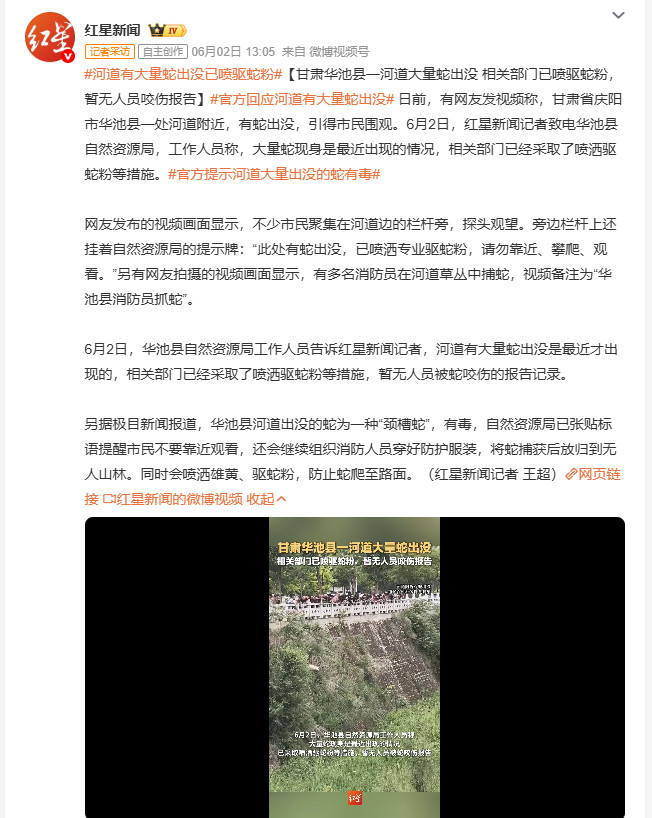河道有大量蛇出没已喷驱蛇粉甘肃庆阳华池县一处河道近日出现大量蛇，引市民围观。经