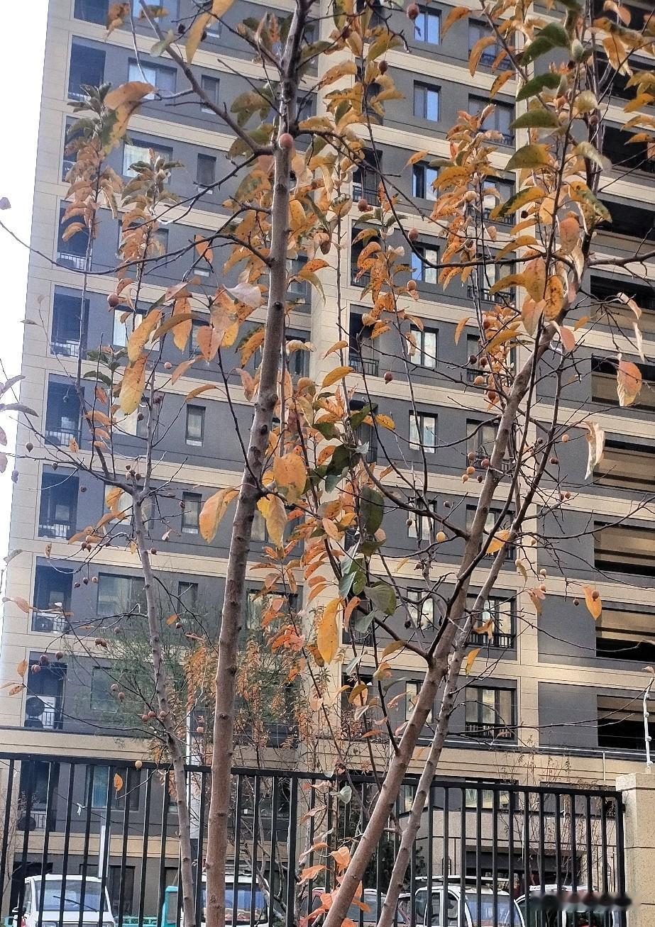 说到钓鱼，我经历过。我有一次跟着我对象一起出去野钓，我不会，他教给我。其实钓