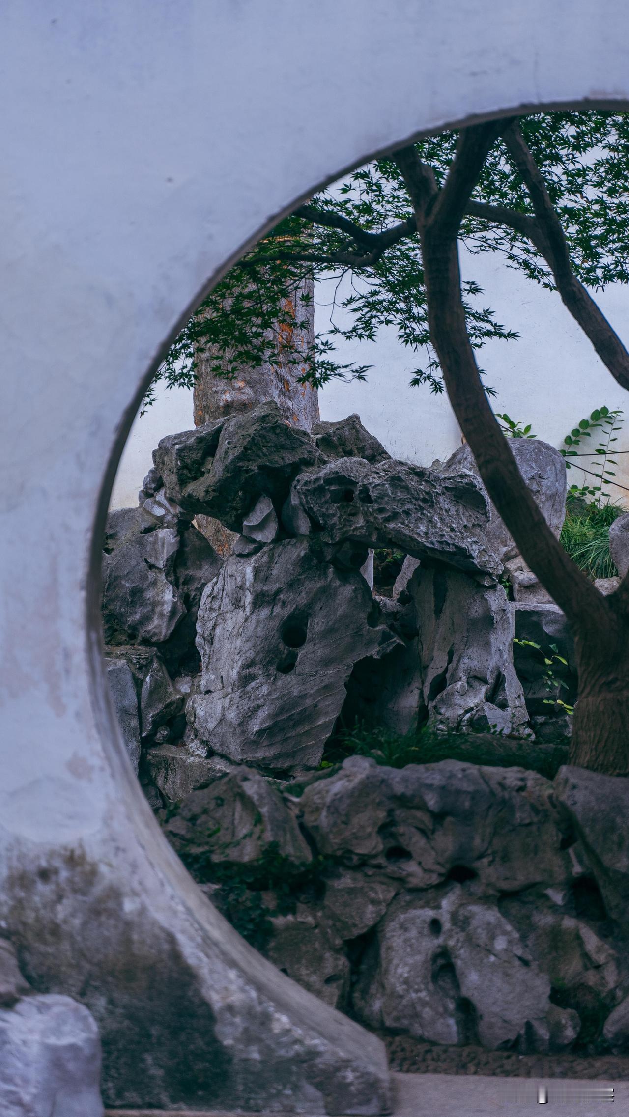 苏州艺圃的清幽之美，小巷深处别有天地。苏州园林