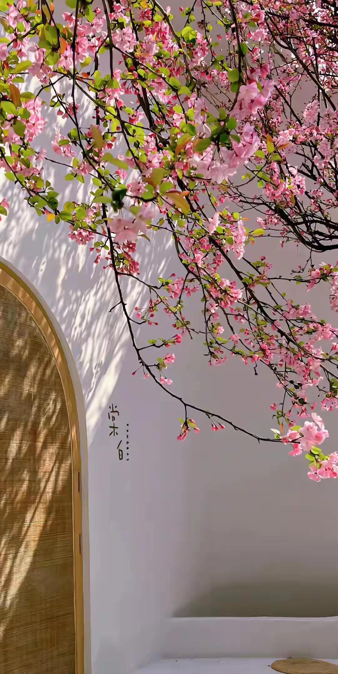 一位教授说:曹操喜欢少妇，李世民喜欢少妇，蓝玉喜欢少妇，历史上还有数不胜