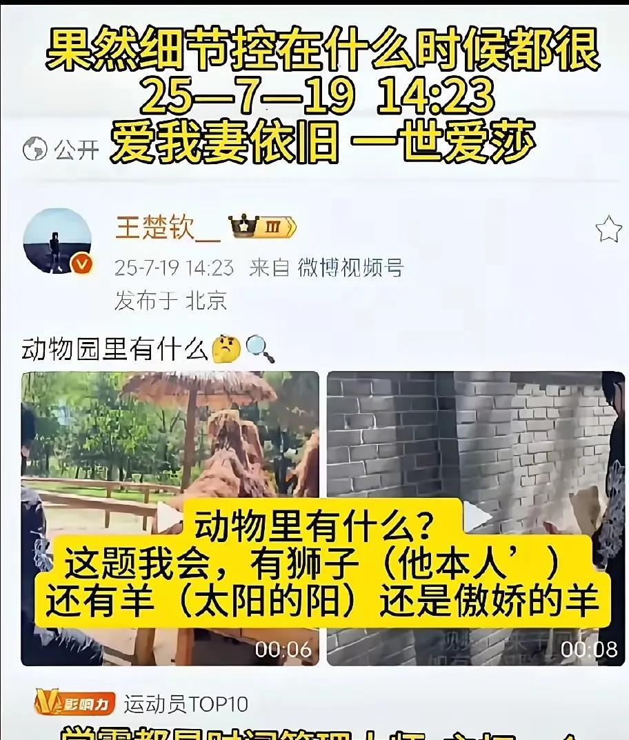 王楚钦一条动物园帖，4小时破8亿阅读！网友放大一百倍，发现狮子笼编号1217，