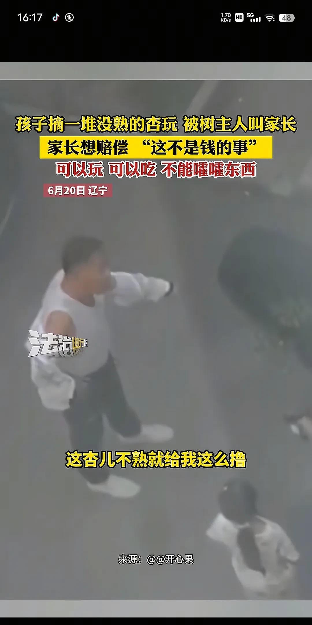 辽宁，男子发现自家没熟的杏，被小孩摘了好大一堆玩，瞬间火冒三丈，直接找来家长怒问