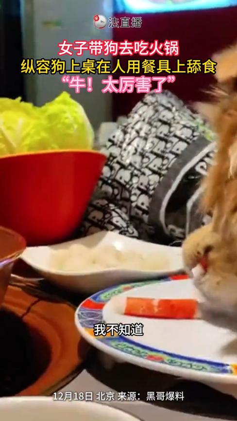 “太缺德了！”12月16日，北京，一女子带狗去吃涮肉，结果趁工作人员不注意，让狗