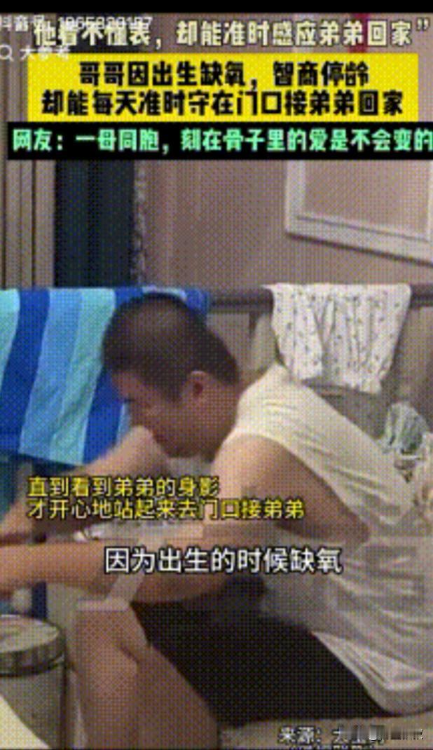 “泪目了！”9月17日，山东，一23岁男孩因出生时缺氧，智力停留在五六岁，但神奇