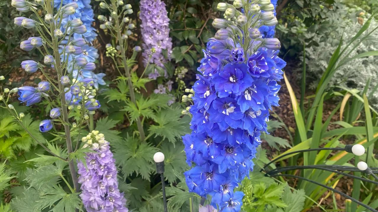 女人最大的底气，从来不是婚姻，而是自己常听身边姐妹说，女人这辈子找个好男人