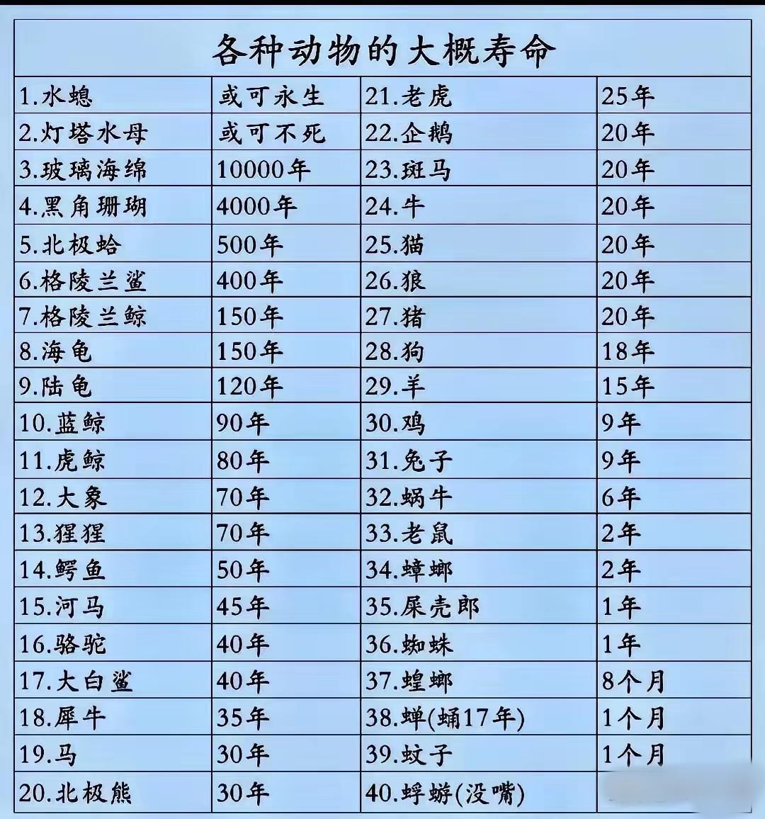 居然有可以永生的[doge]