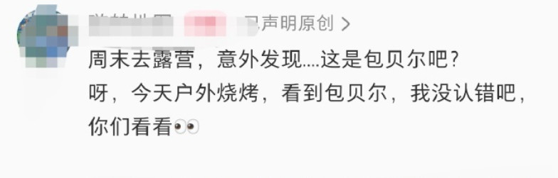 偶遇包贝尔露营烧烤有偶遇包贝尔露营烧烤，还称疑似女生背影是包文婧，这也是包贝尔风
