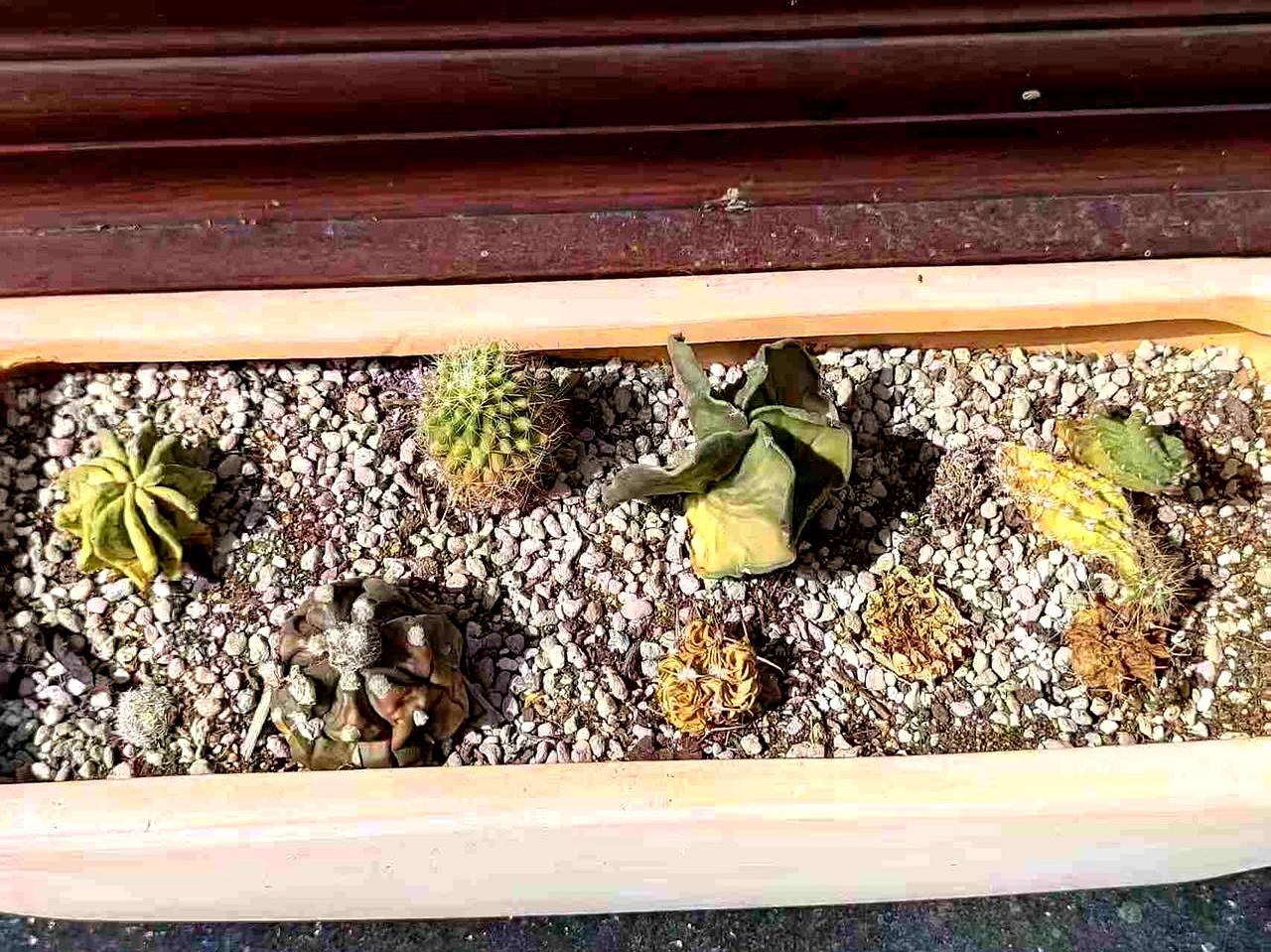 你见过这种老板吗？自己定的规矩，结果第一个破防——迟到半小时，推门进来时手里还