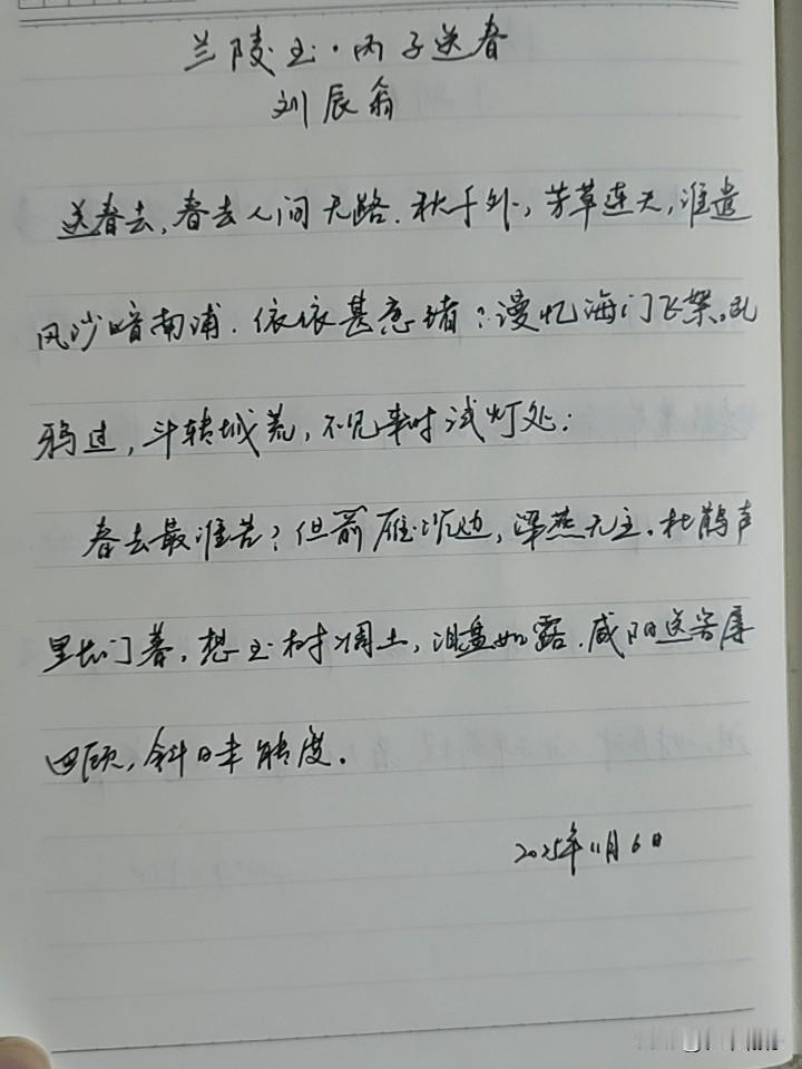 抄书第993天（2025年11月6日）静心✔戒浮躁，一笔一划。