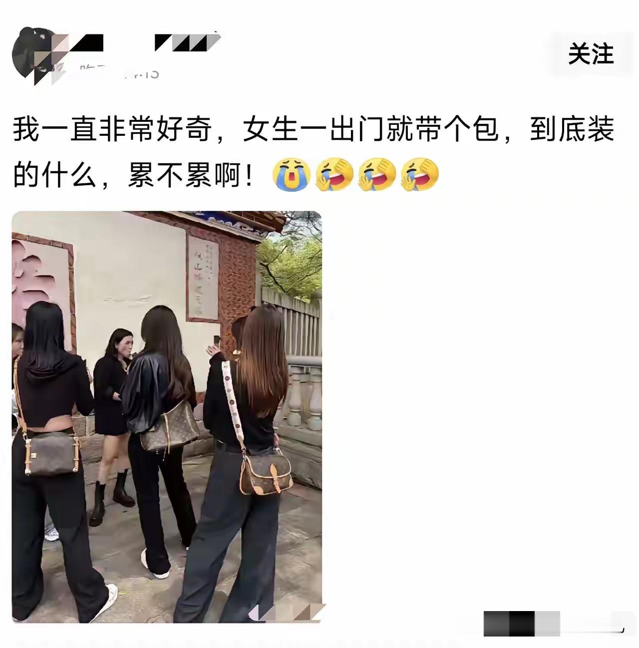 不懂就问，为什么现在的女孩子爱背这个花色的包，我觉得不好看呢……