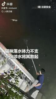 竹竿上的救赎，人性最暖的注脚上人民日报了！成都，锦江畔上一只流浪猫落水，因为体