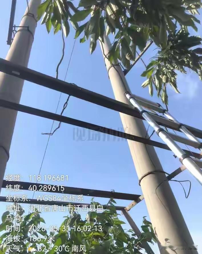 受邀在高压电线杆上安装监控，邀请者坚称“没电”，结果男子不幸触电身亡。李某是