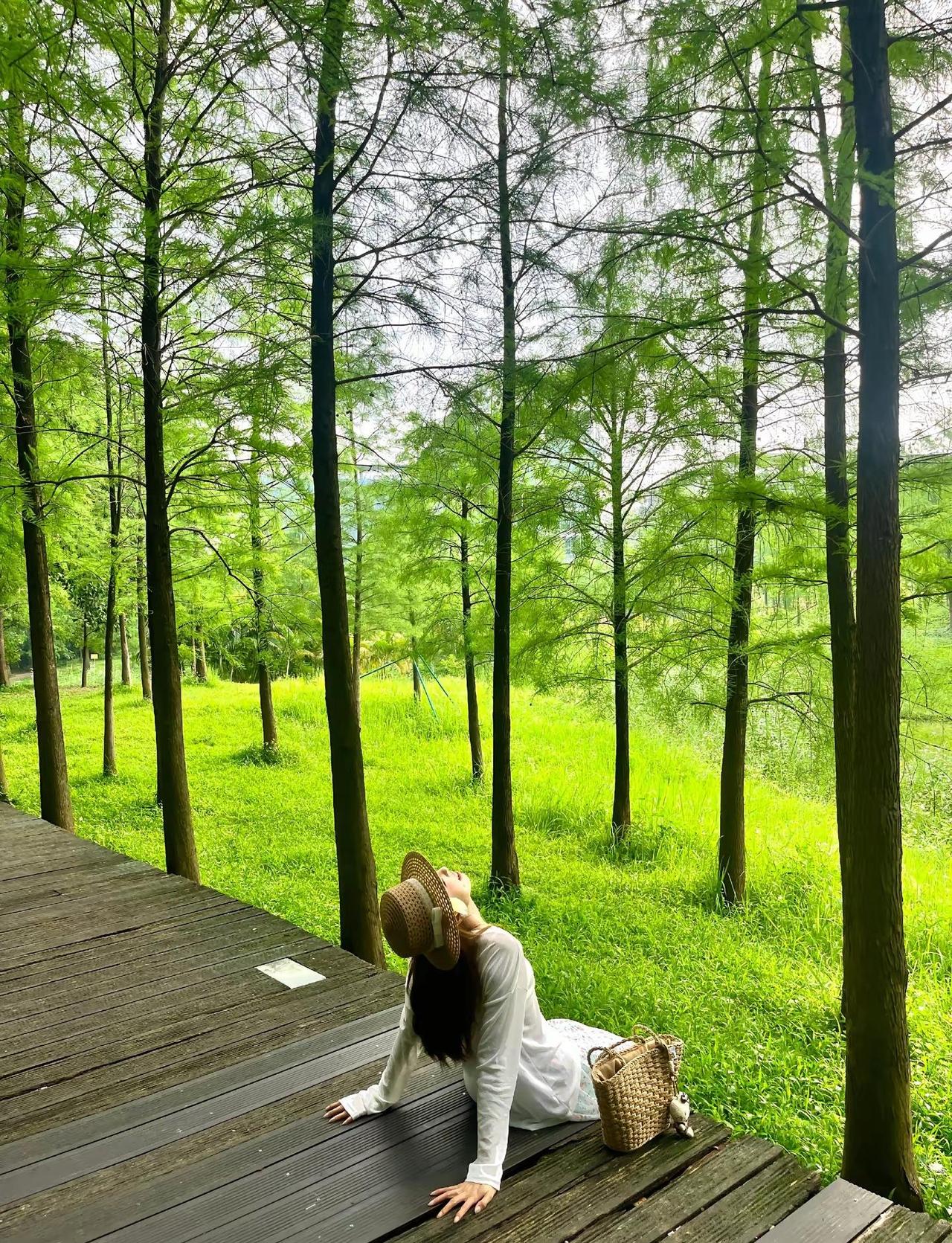 在广州💚我愿再来一万次的生命力公园…公园散步随拍氛围感广州旅游公园随拍