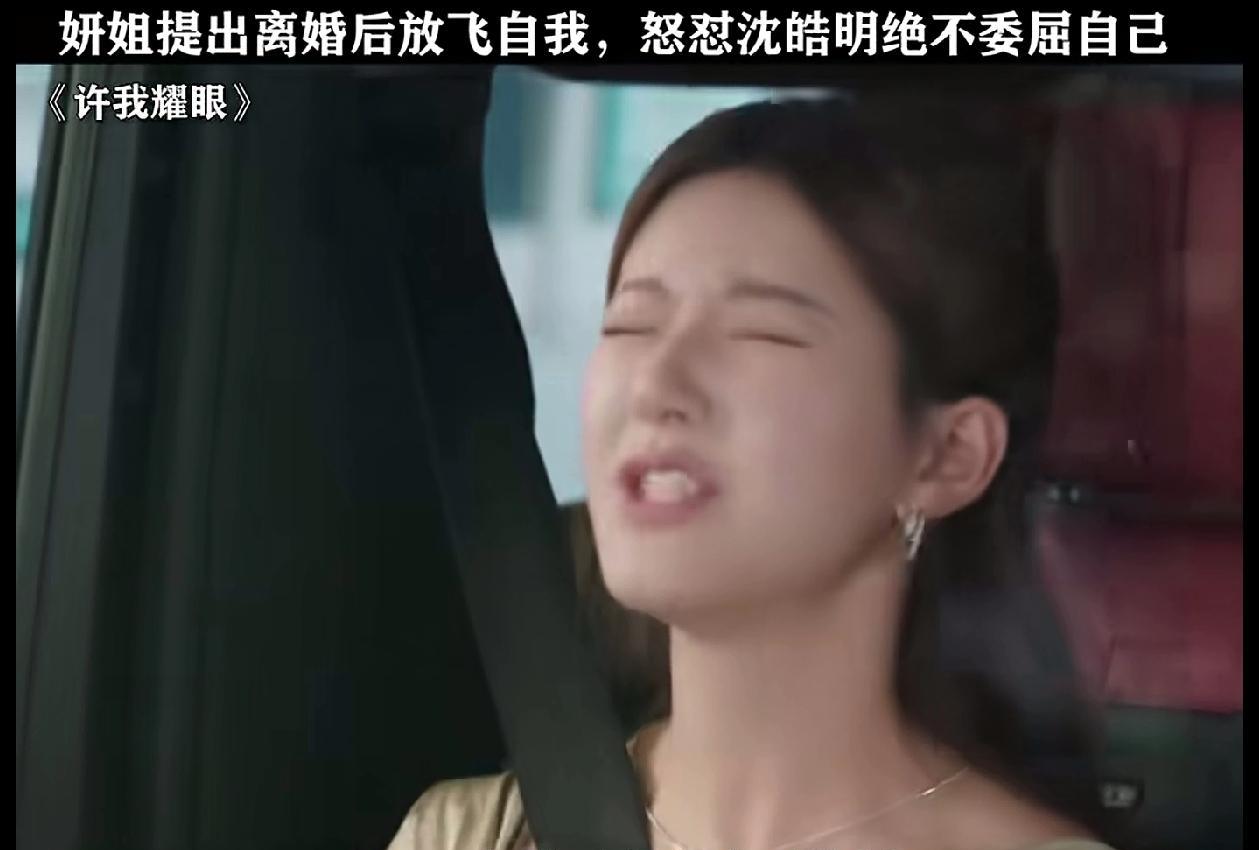 《许我耀眼》许妍和沈皓明离婚彻底放飞自己！两人互怼，差点没把沈皓明气死！沈皓