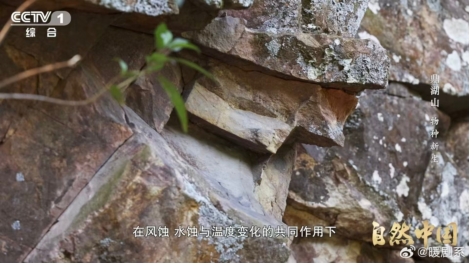 土壤的土腥味从何而来植物变成腐殖质，和矿物质颗粒交融，才成了肥沃的土壤，这过程