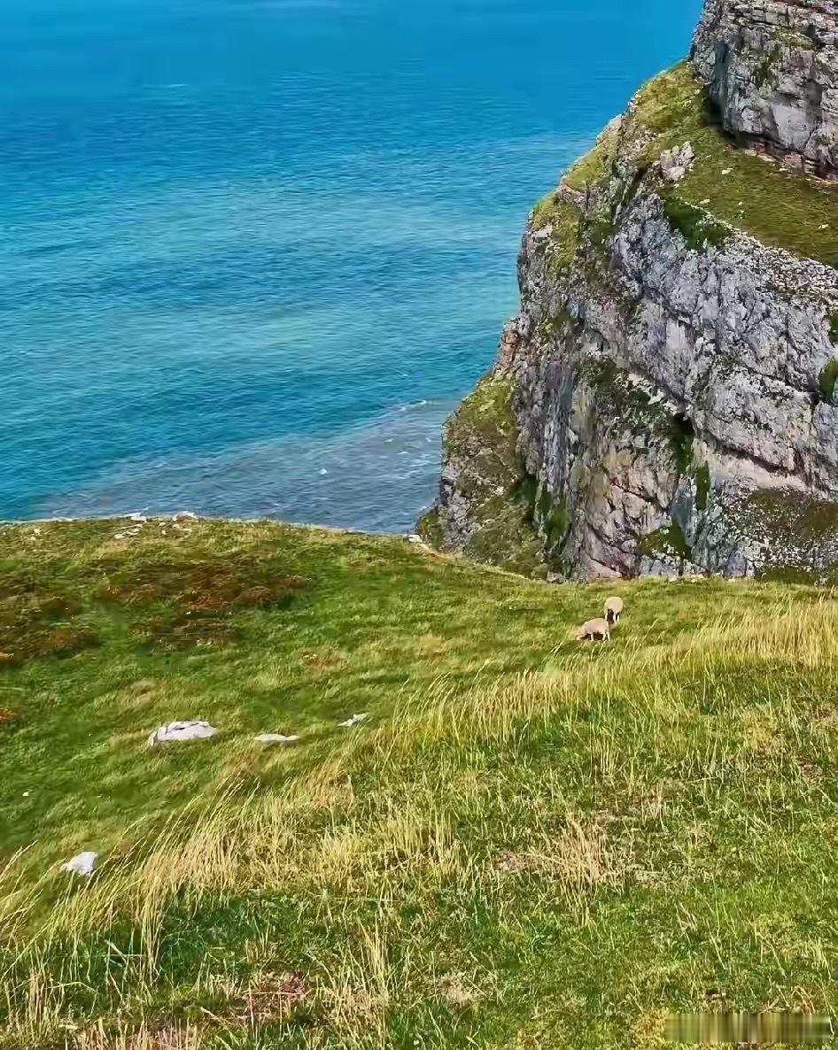 曾仕强说：“为什么很多人一辈子都发不了财，原因不是他们不努力，而是因为他们不懂得