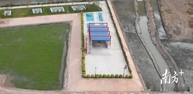 广州地铁南浦西站C口要火出圈！不是因为颜值高，而是自带“田园滤镜”——...