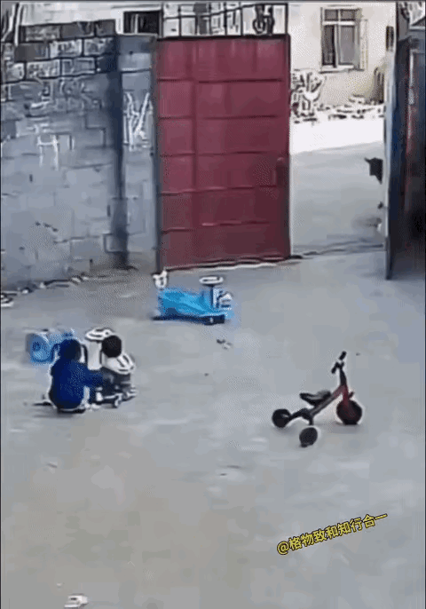 好懂事的小哥哥[赞]