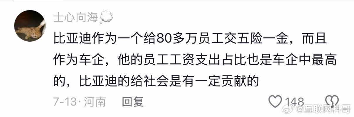 很多人都得感谢比亚迪，比亚迪养活上百万个普通家庭！​​​
