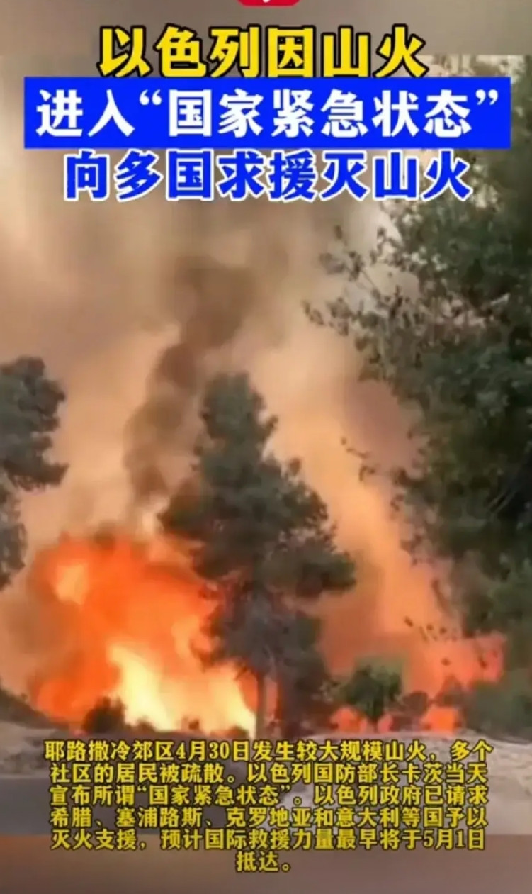 想不到巴勒斯坦会去救以色列的大火，以色列要饿死240万巴勒斯坦人呀，以色列自己必