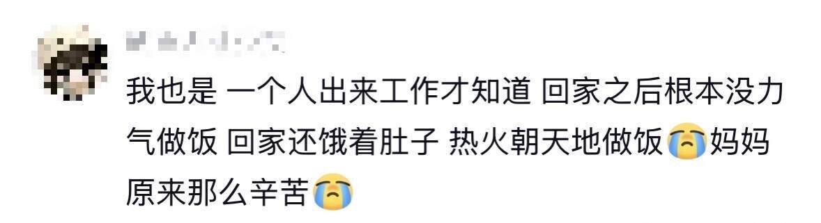 小时候的自己，长大了终于明白了父母。