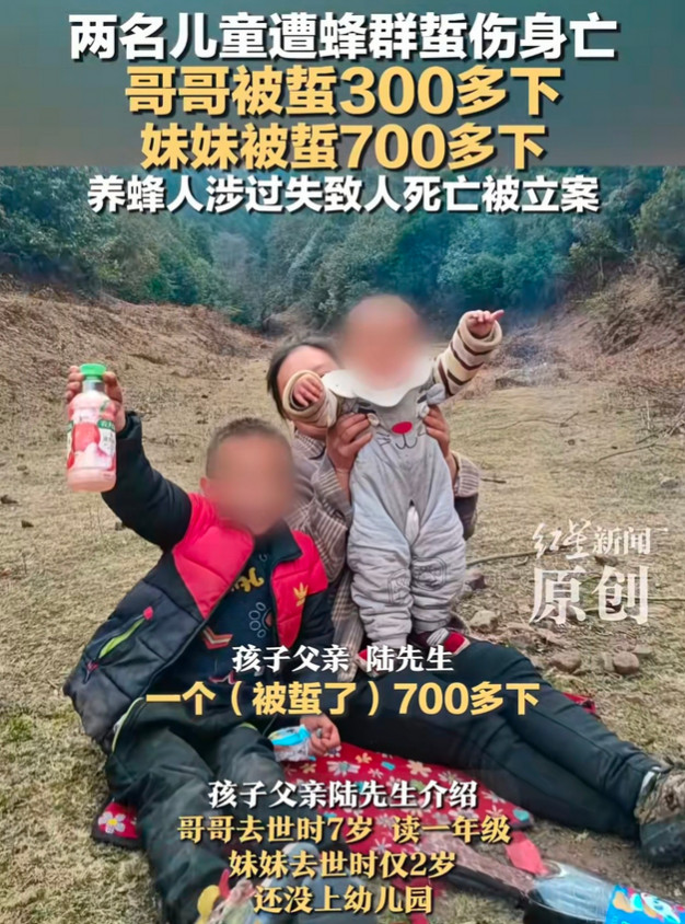 云南兄妹俩被马蜂蜇不幸离世的事有了新后续，养蜂人李先生坦言，对方提出的200
